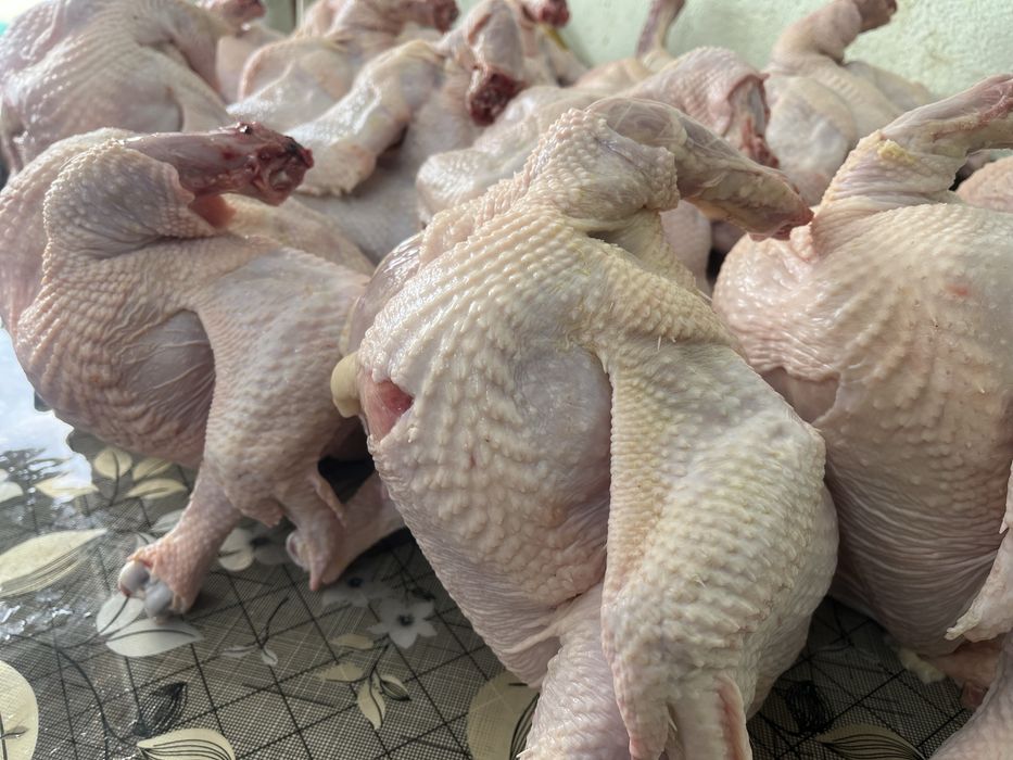 Мясо бройлера домашнего