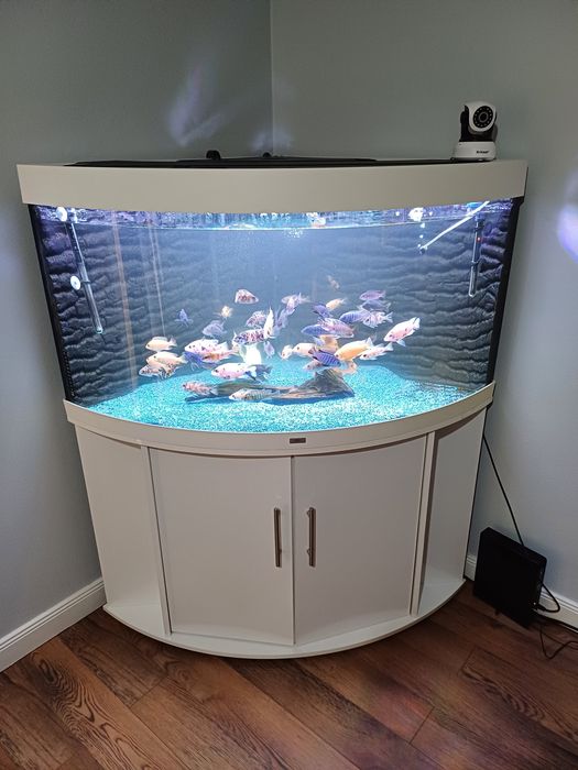 Acvariu juwel trigon 350