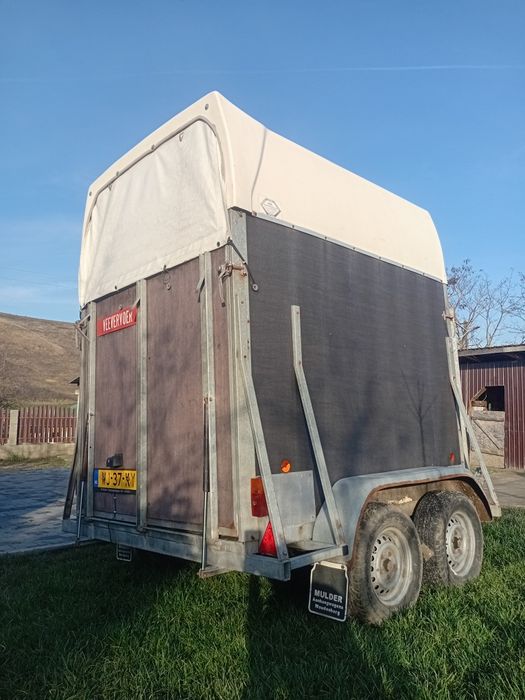 Remorcă Henra de vânzare!