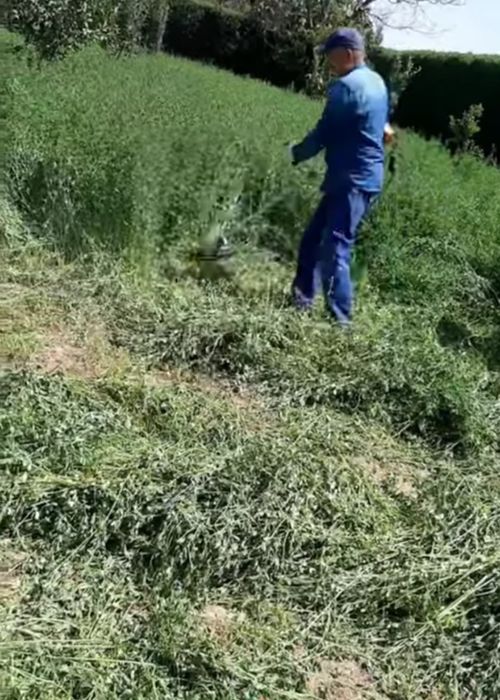 Шөп ору 150-200!