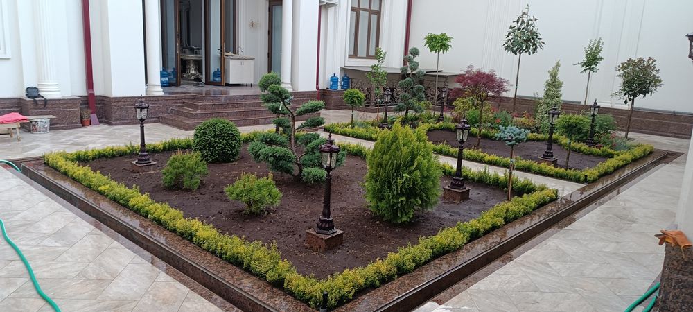 Газон ландшафтный дизайн хизматлари