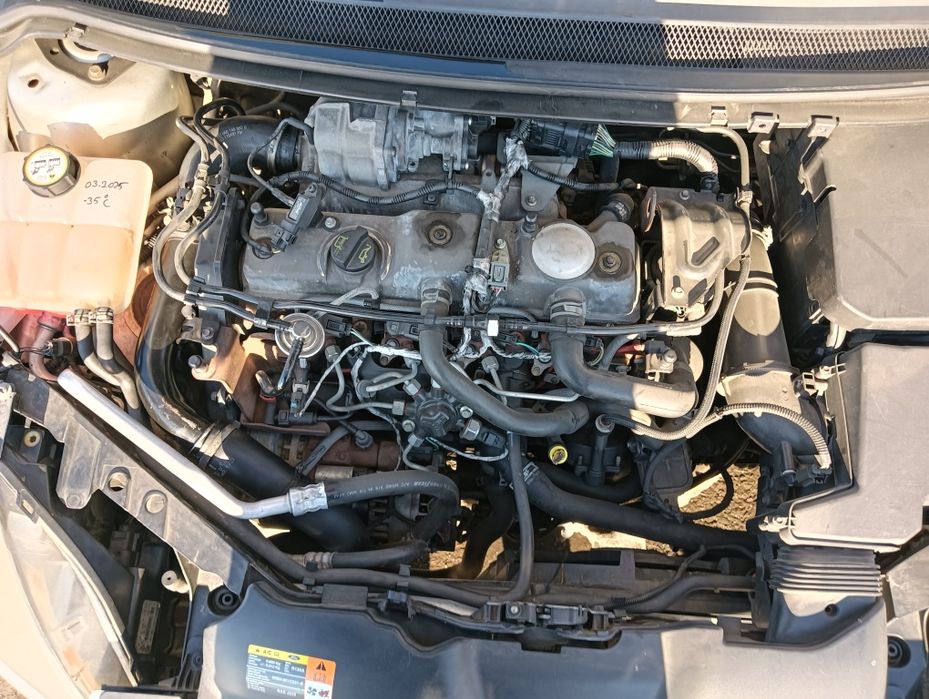 Ford focus Motor defect