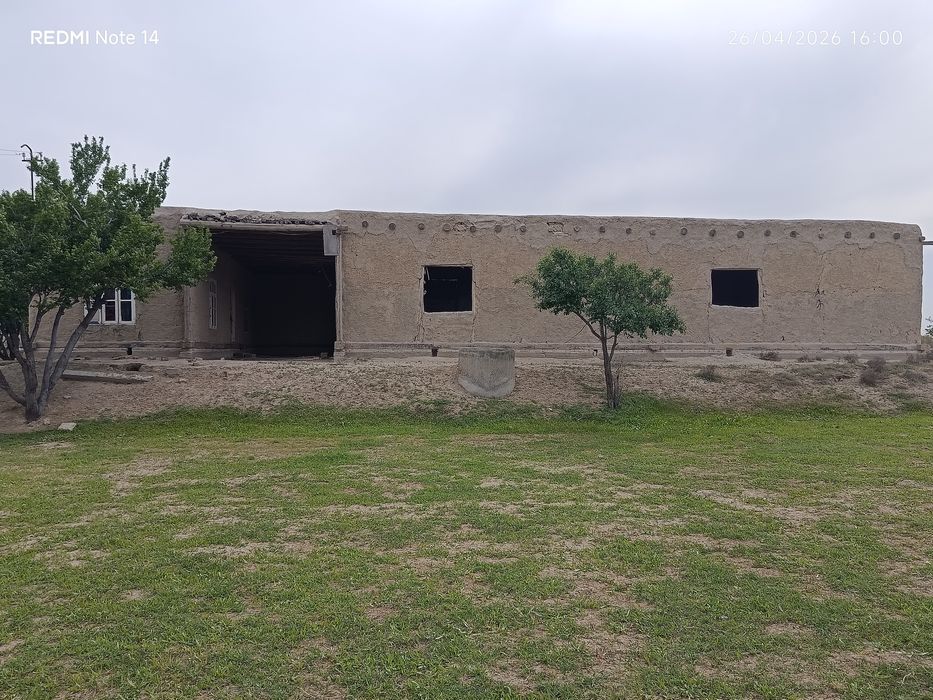 Uy sotiladi Shofirkon tumani Guliston qishlogʻi 32 sotix