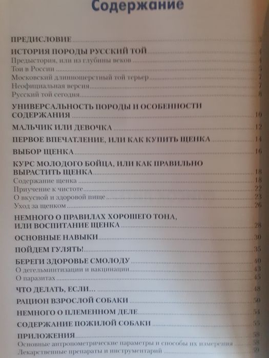 Русский той терьер