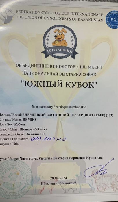 Продам кобеля Ягдтерьера