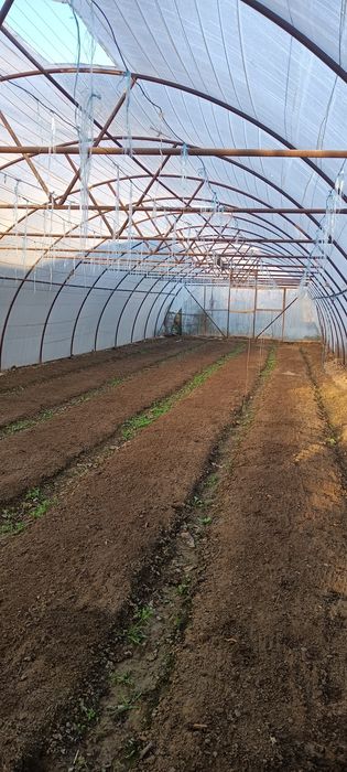 Исикхона сотилади