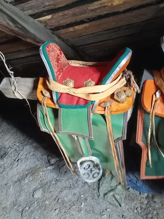 Ертоқым 2 манголядан әкелінген