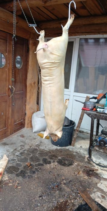 Macelar la domiciliu