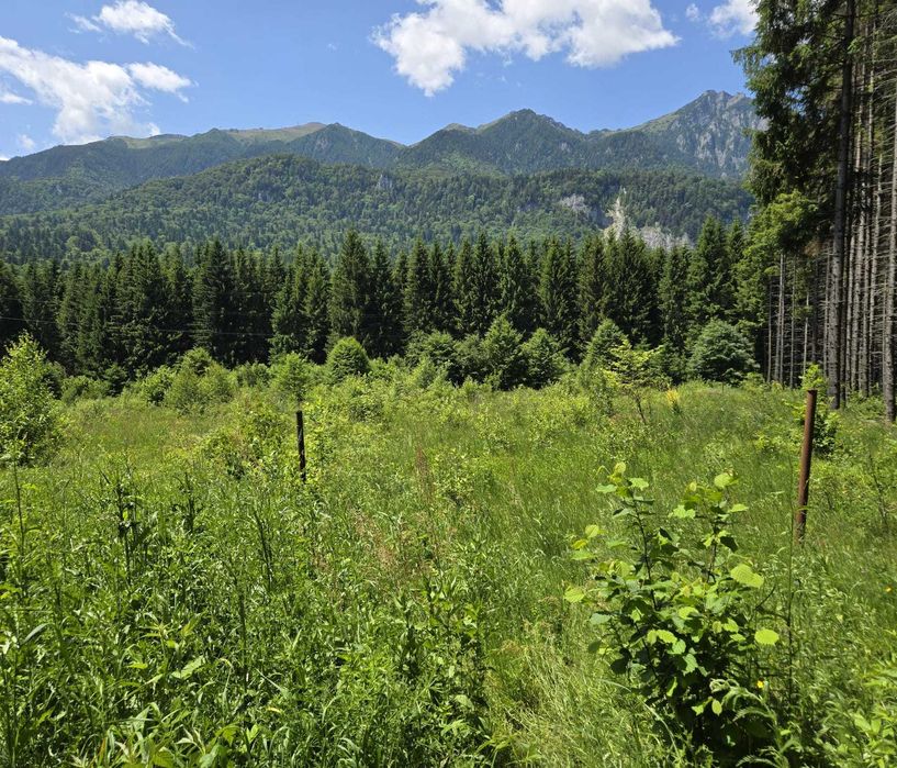 Vand teren Orasul Sinaia