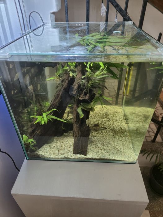 Acvariu Dennerle Nano Scapers Tank 35 l