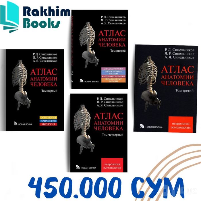 Синельников анатомия человека