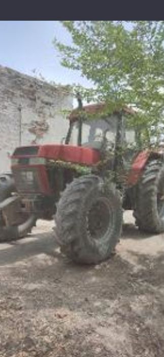 Magnum 52 50 xolati qonqarli yili 1998