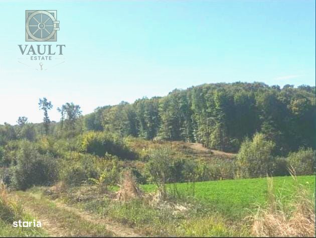 Teren Snagov -900 mp