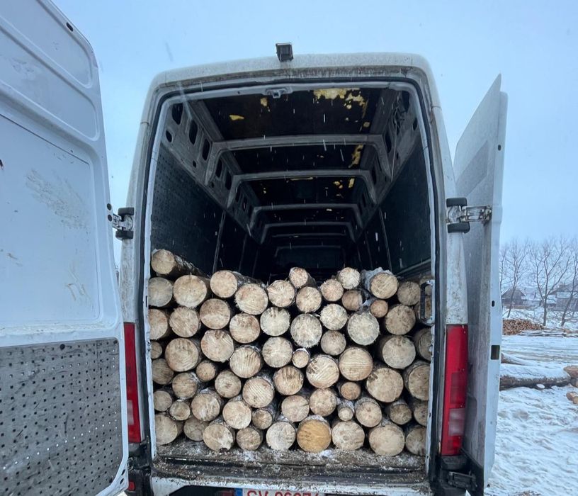 Vând lemne de fag și brad