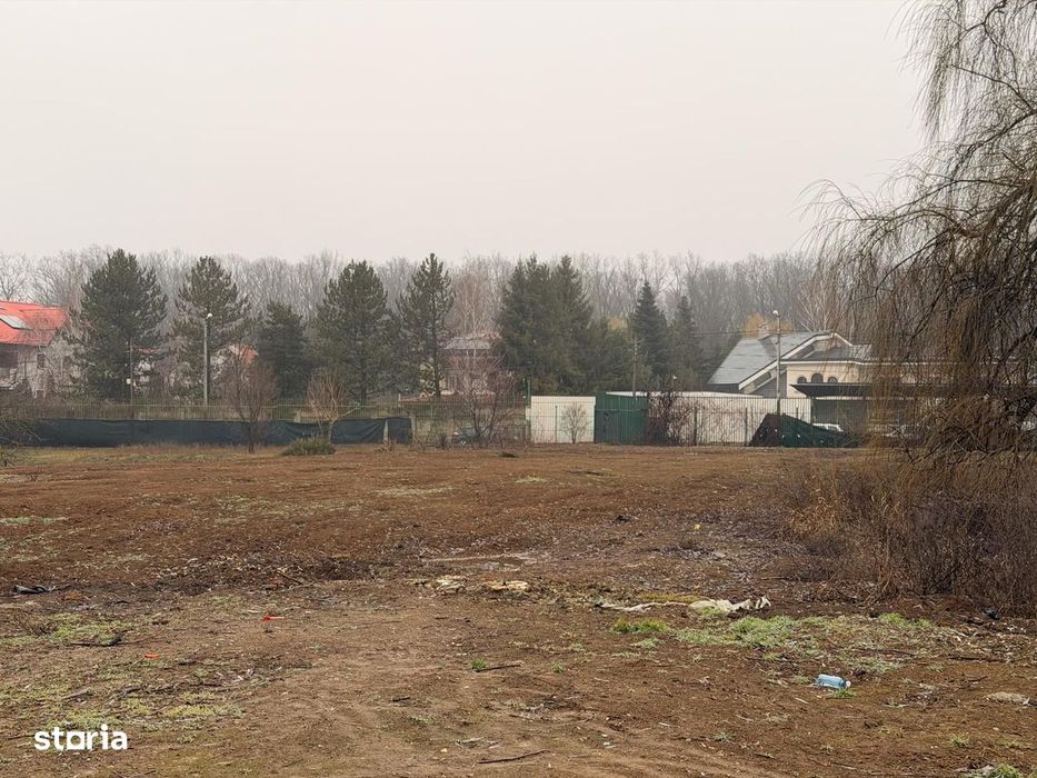 Teren Snagov - Cioflinceni | Drum amenajat | Aproape de Padure si Lac