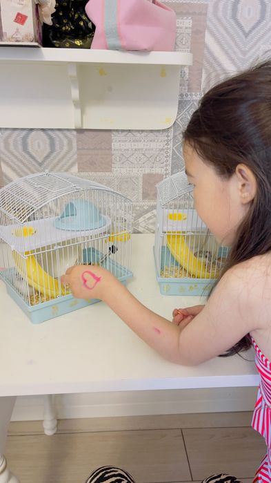 Продаю хомяков с клеткой