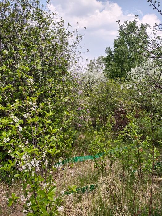 Дача 8(12) соток "Горизонт"