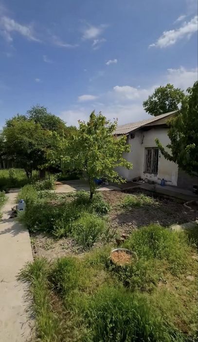 ДОМ, ЯНГИ-ХАЙОТ  5,5-Соток  3/ ком.