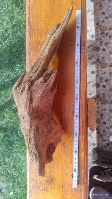 Lemne caută alte acvarii