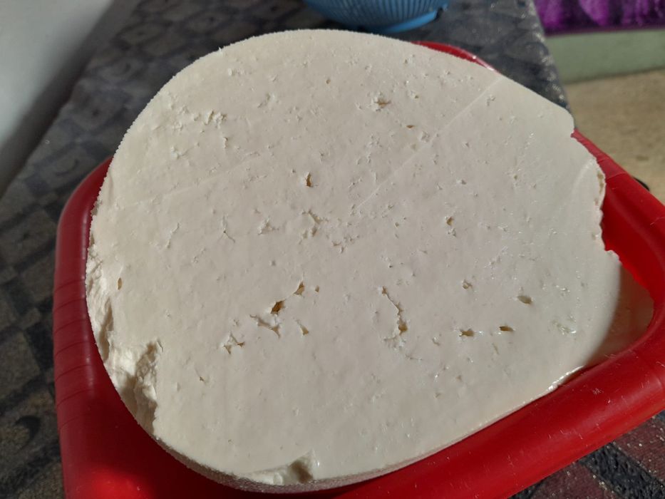 Vând lapte , caș si brânză de capră