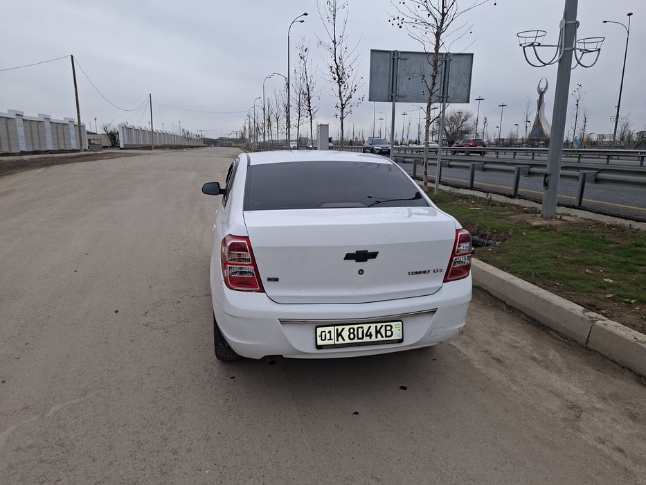 Coblt 2020 yil tozza prapan taqilgan