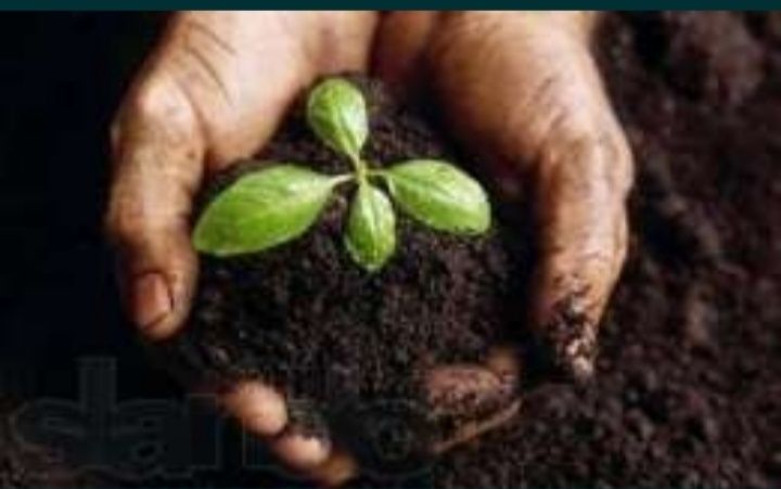 Перегной и чернозем отличное качество. Зил Камаз