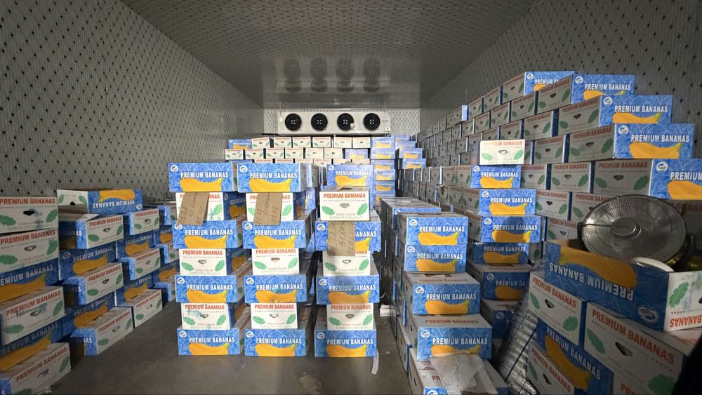 Банан фрукты оптом