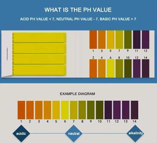 80 ленти/PH Тест ленти за вода PH лакмусова хартия