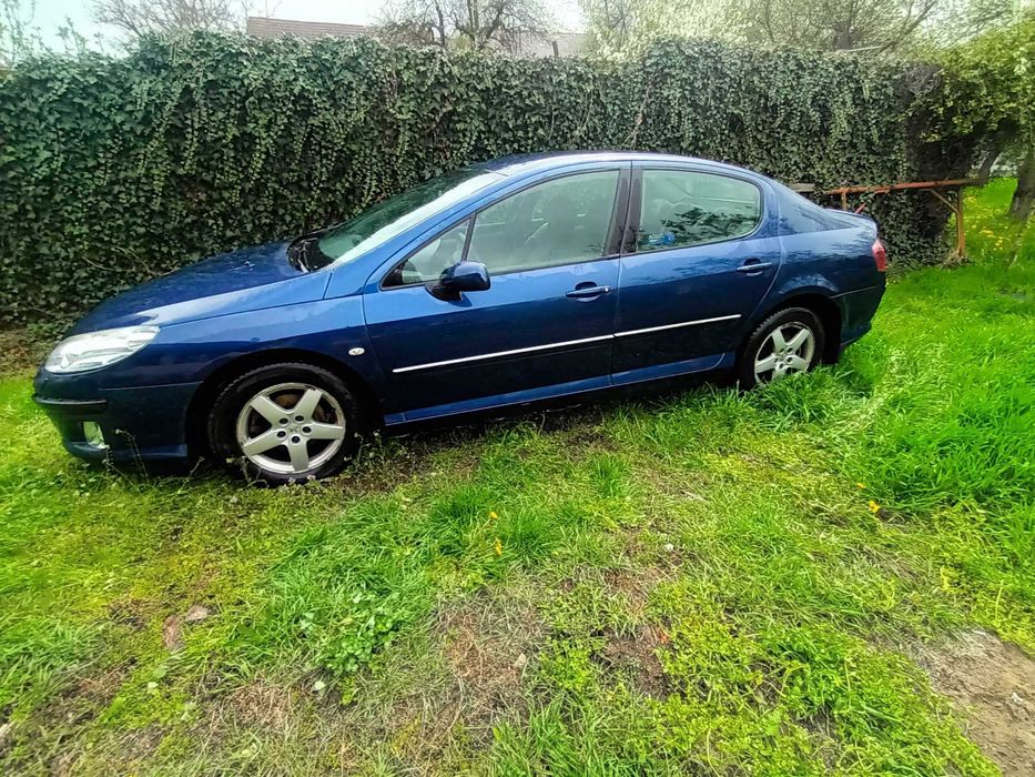 Vand Peugeot407 139 CP