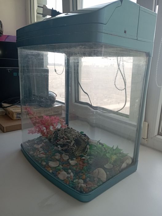 Продам аквариум с (доп принадлежности)