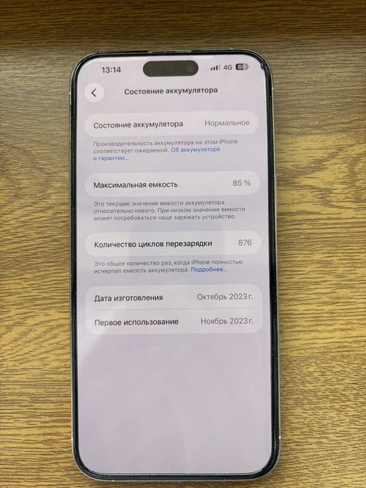 iPhone 15 Pro Max 256 GB — Natural Titanium
