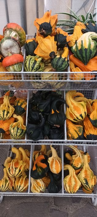 Dovleac Halloween și decorativ în Cluj