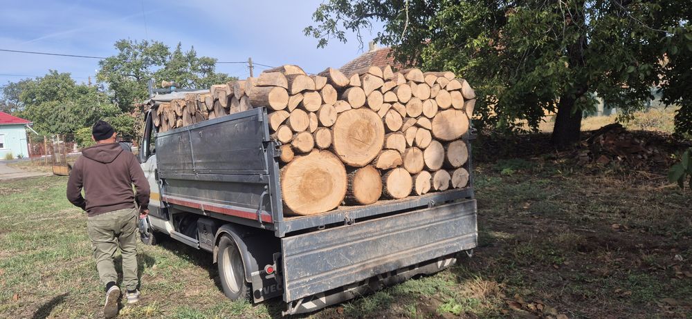 Lemne de foc esență tare am și uscat