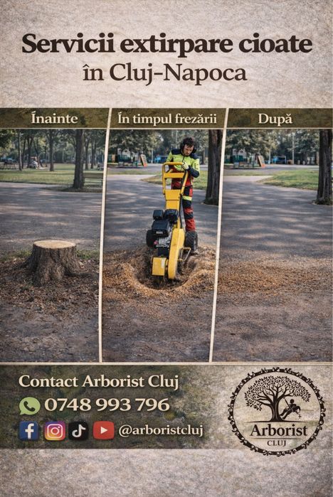 ARBORIST CLUJ – Servicii Profesionale Arboricultura si spatii verzi