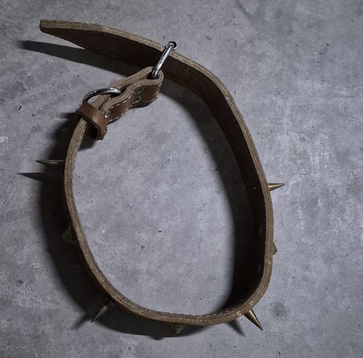 Продается ошейник для крупных бойцовых собак!