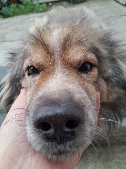 Малышу нужен дом