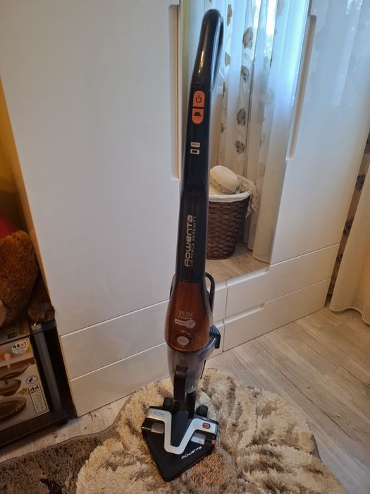 Aspirator vertical Rowenta