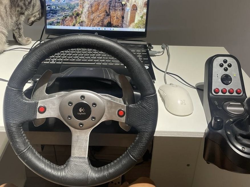 Игровой руль Logitech G25