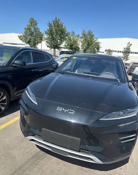 BYD Champion 2026 Smart