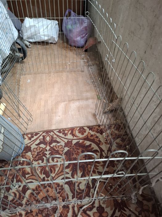 Вольер для щенков