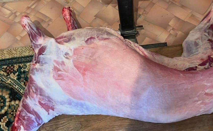 Ешки ети сатлады 2000 теңге ден