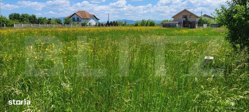 Oportunitate investitie-teren intravilan Harman/Podu Oltului