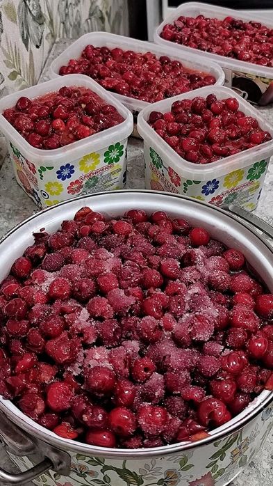 Вишня сочная продажа