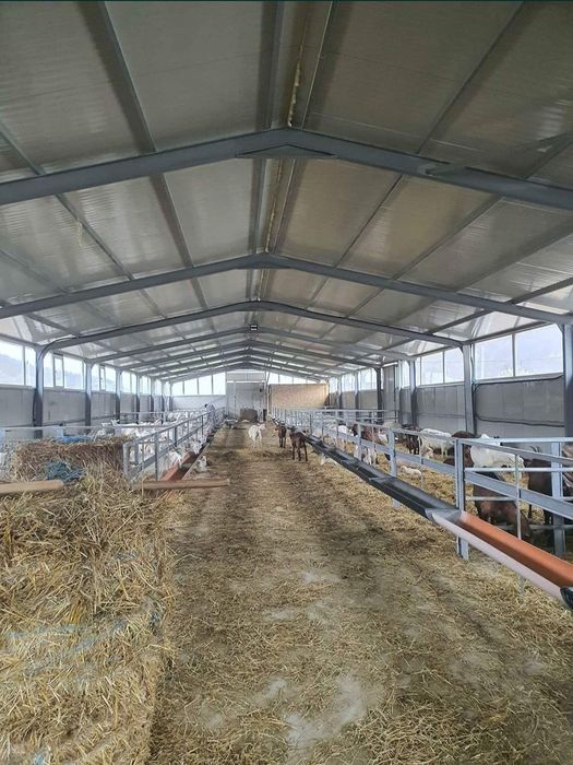 Vând hală metalica 25x10x4 și 15x8x4