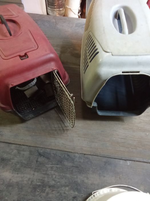 Аксессуары для животных