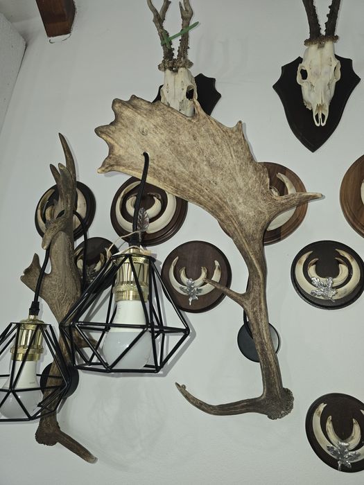 Candelabru aplica din coarne de cerb