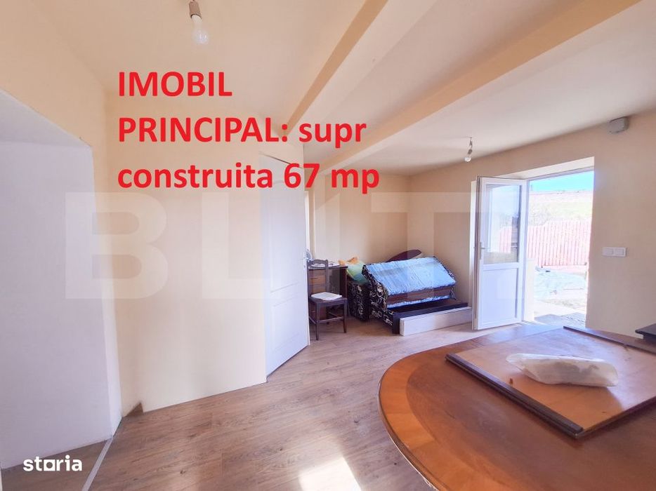 Proprietate cu 3 imobile si 1281 mp teren, Salistea Noua