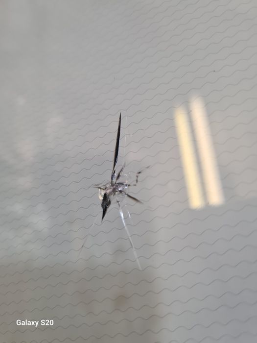 РЕМОНТ!Сколов,Трещин.Выезд!