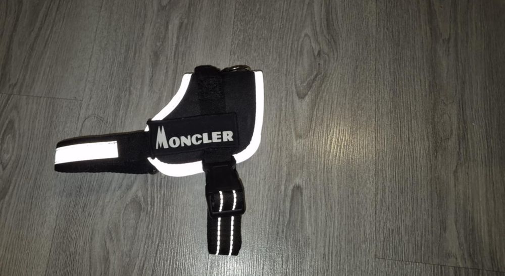 Нагръдник за куче Carinura /М/