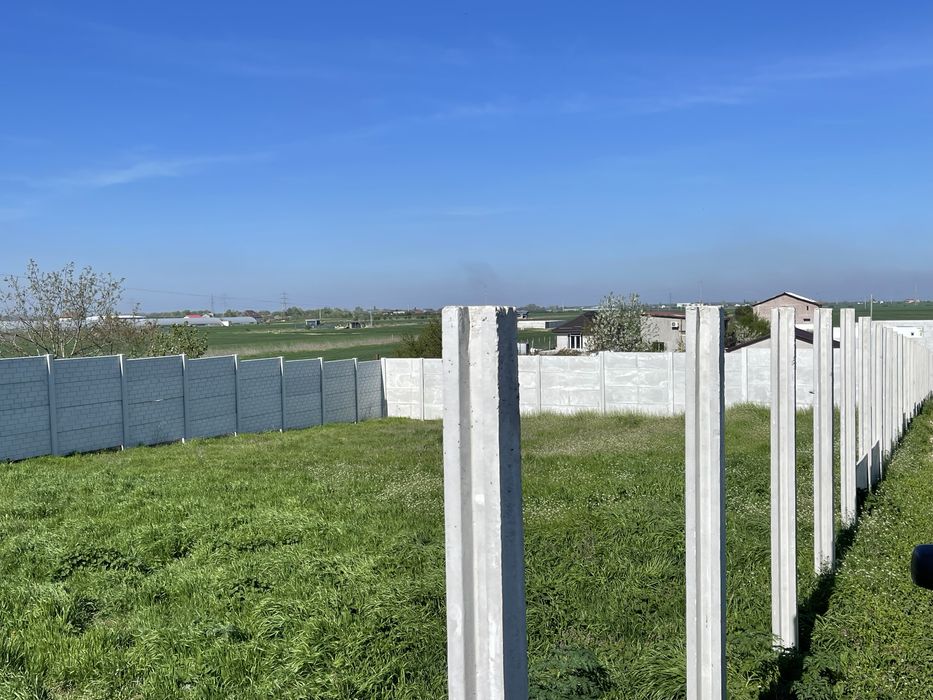 Loturi de vanzare 450 mp Dobreni-Berceni